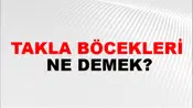 Takla Böcekleri