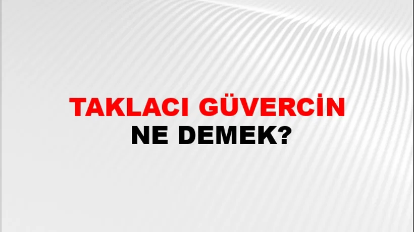 Taklacı Güvercin Taklacı Güvercin