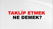 Taklip Etmek