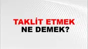 Taklit Etmek