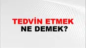 Tedvin Etmek