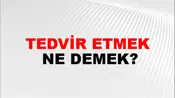 Tedvir Etmek