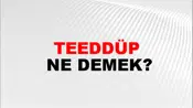 Teeddüp