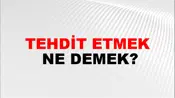 Tehdit Etmek
