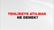 Tehlikeye Atılmak