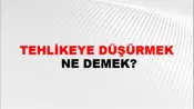 Tehlikeye Düşürmek