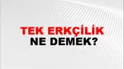 Tek Erkçilik