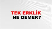 Tek Erklik