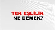 Tek Eşlilik