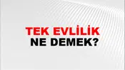 Tek Evlilik