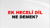 Tek Heceli Dil
