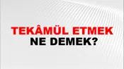 Tekâmül Etmek