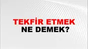 Tekfir Etmek