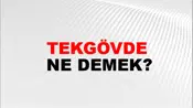Tekgövde