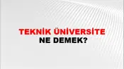 Teknik Üniversite