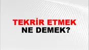 Tekrir Etmek