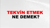 Tekvin Etmek