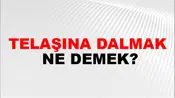 Telaşına Dalmak