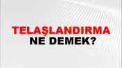 Telaşlandırma