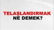 Telaşlandırmak