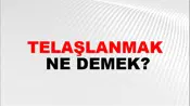 Telaşlanmak