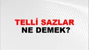 Telli Sazlar