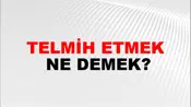 Telmih Etmek