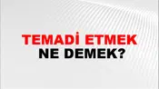 Temadi Etmek