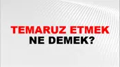 Temaruz Etmek
