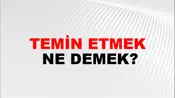 Temin Etmek