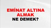 Teminat Altına Almak
