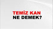 Temiz Kan