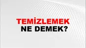 Temizlemek