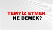 Temyiz Etmek