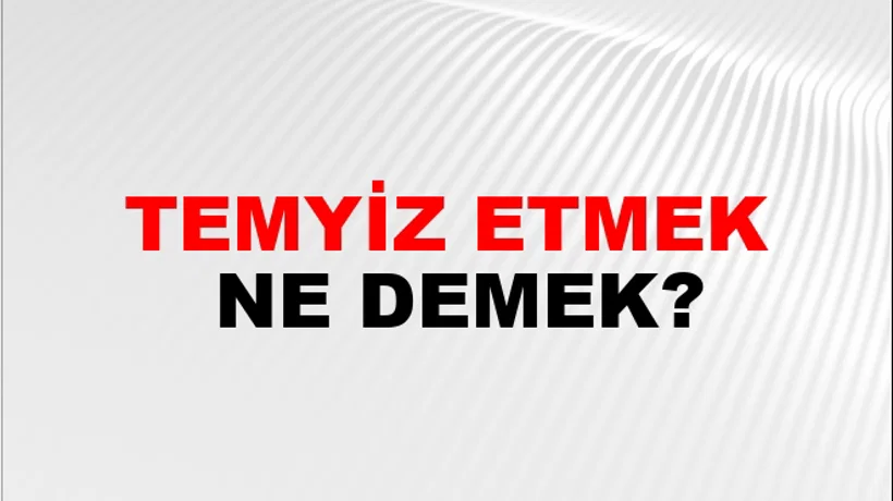Temyiz Etmek Temyiz Etmek