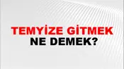 Temyize Gitmek