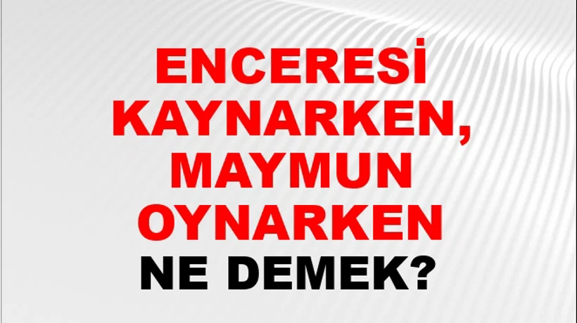 Tenceresi Kaynarken, Maymunu Oynarken Tenceresi Kaynarken, Maymunu Oynarken
