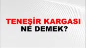 Teneşir Kargası