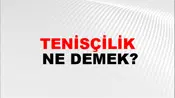 Tenisçilik