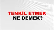 Tenkil Etmek