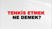 Tenkis Etmek