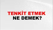 Tenkit Etmek