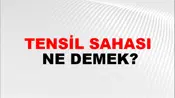 Tensil Sahası