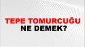 Tepe Tomurcuğu