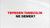 Tepeden İnmecilik