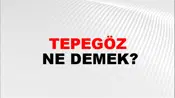 Tepegöz