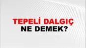 Tepeli Dalgıç
