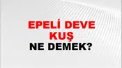 Tepeli Deve Kuşu