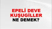 Tepeli Deve Kuşugiller