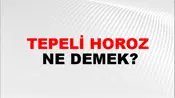 Tepeli Horoz